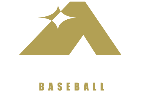 mobile-annex-logo