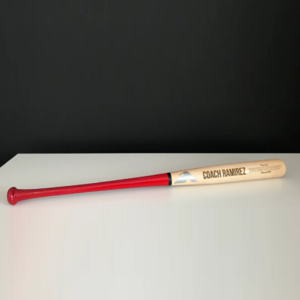 Custom Baseball Coach Gift, Softball Coach Gift, Engraved Baseball Bat,Senior Grad Coach Gift, Personalized Baseball Bat,Custom Baseball Bat